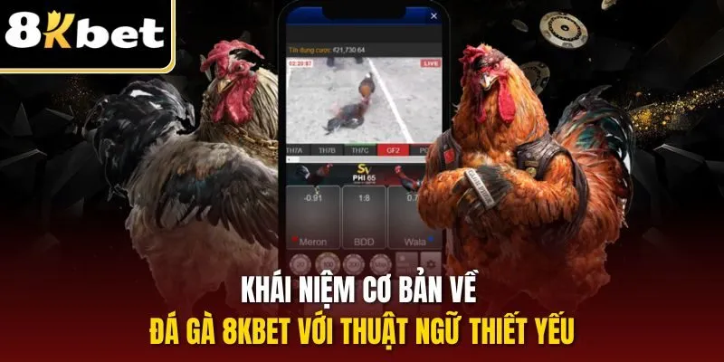 Đá Gà 8KBET | Sân Chơi Nóng Bỏng Dành Cho Sư Kê Thách Đấu 3 Khái niệm cơ bản về đá gà 8KBET với thuật ngữ thiết yếu